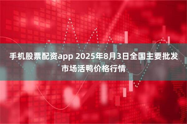 手机股票配资app 2025年8月3日全国主要批发市场活鸭价格行情