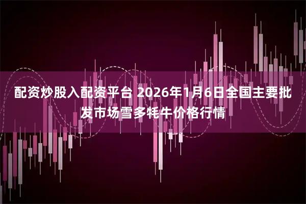 配资炒股入配资平台 2026年1月6日全国主要批发市场雪多牦牛价格行情